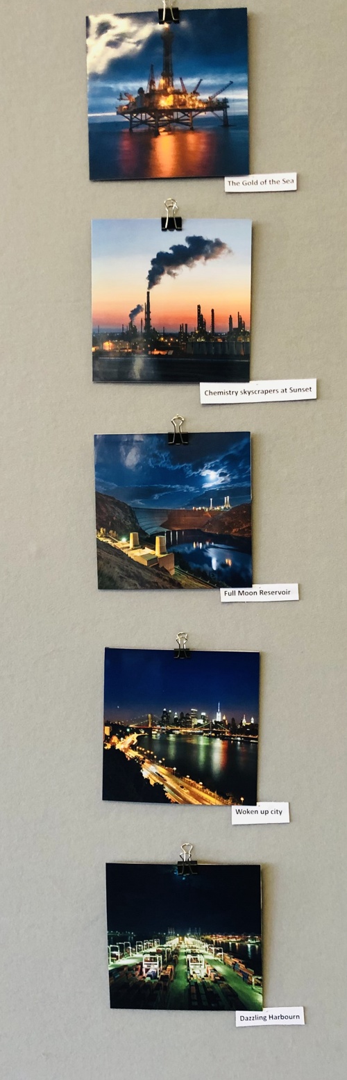 Ausstellung Paradies 5