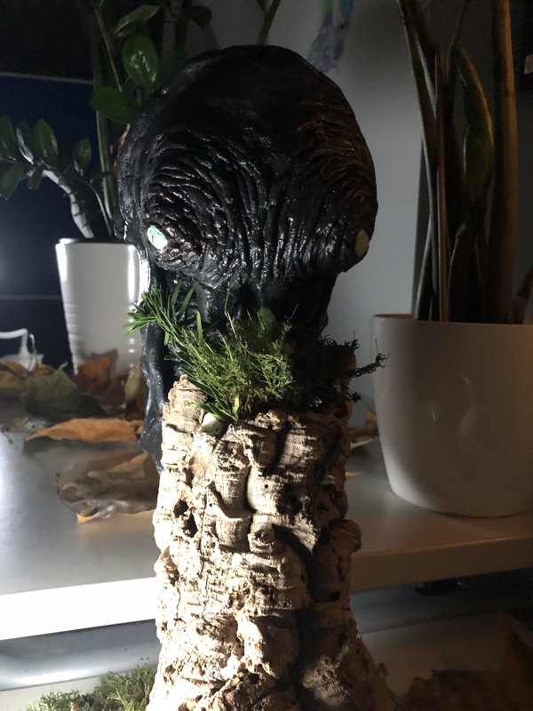 Kunst Juni24 2