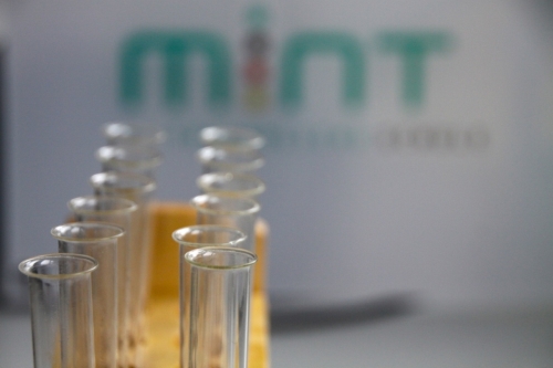 mint profil