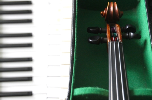 musik profil