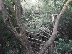 LandArt