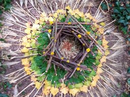 LandArt