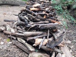 LandArt